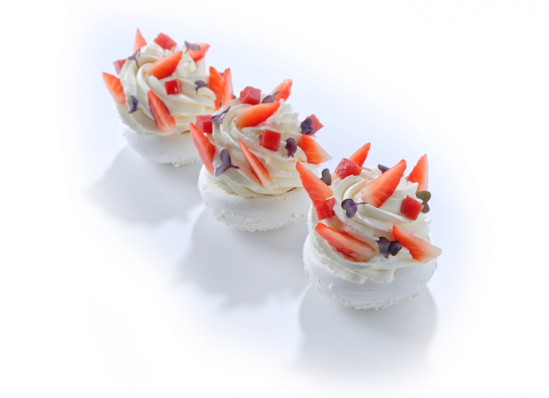 Kolekce Pavlova (celodenní)