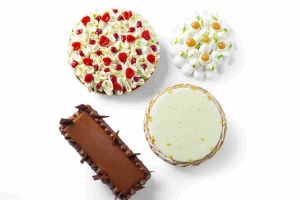 Tarts HF