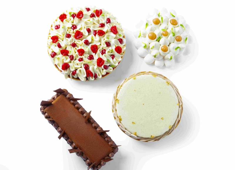 Tarts HF (celodenní)