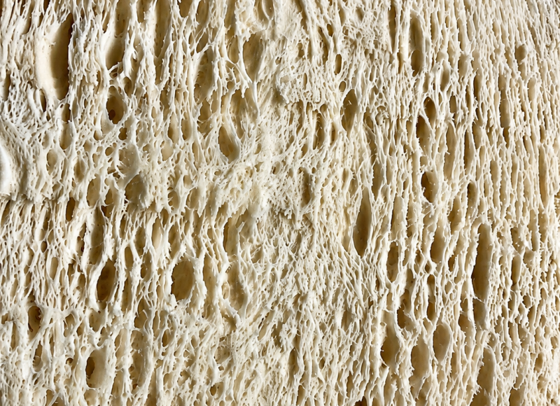 Panettone a Lievito Madre (dvoudenní)